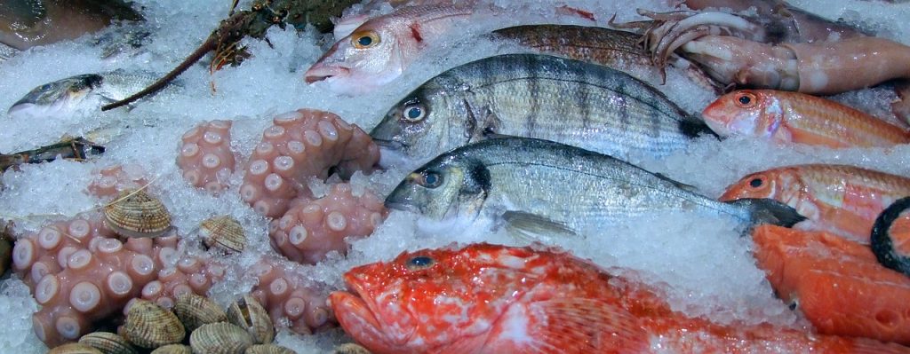 How to buy and store fresh fish How to prepare it for cooking