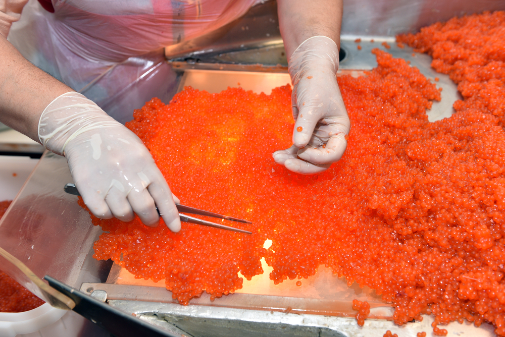 Preparing caviar in the fishing processing plant