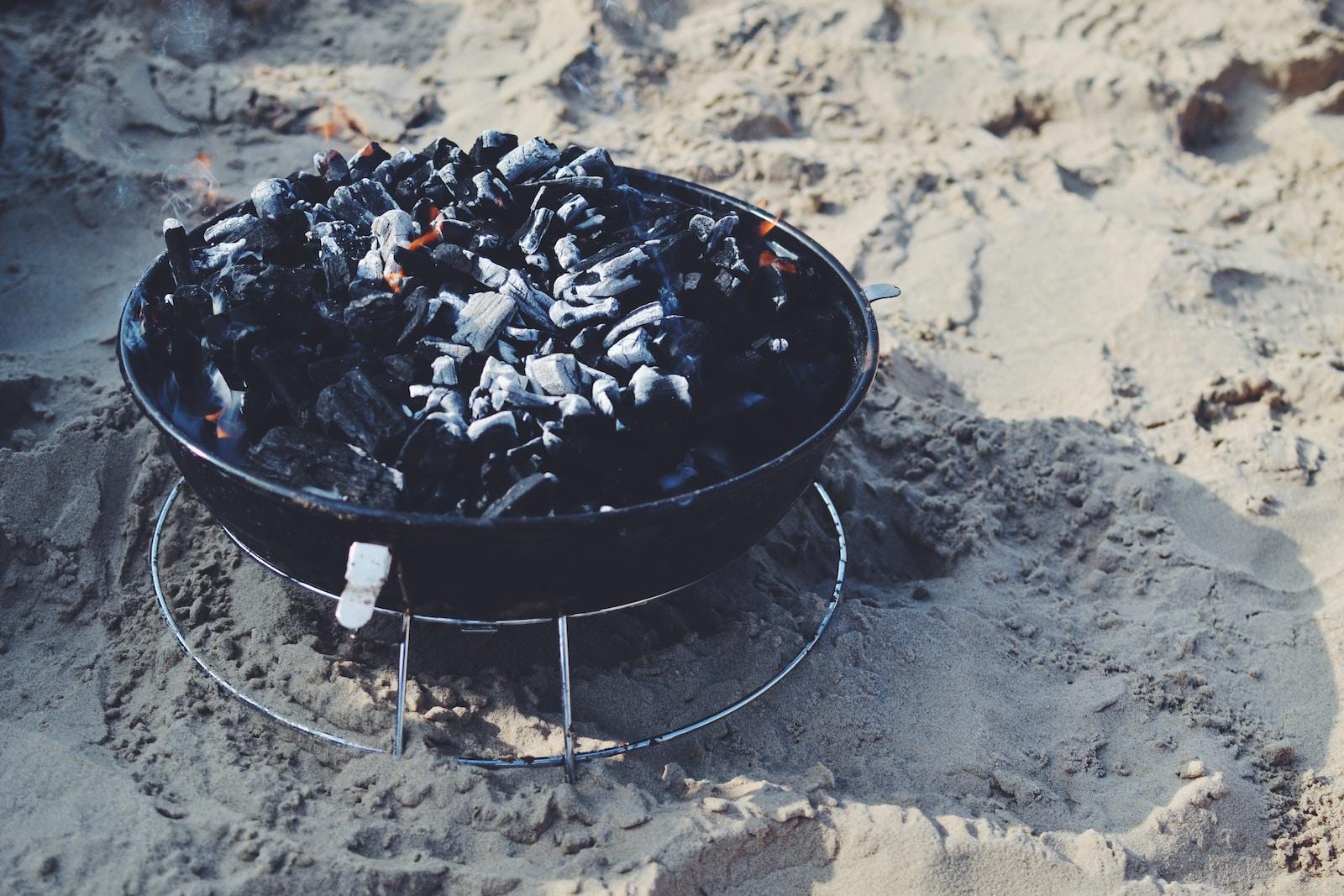 tailgate grill vs portable grill